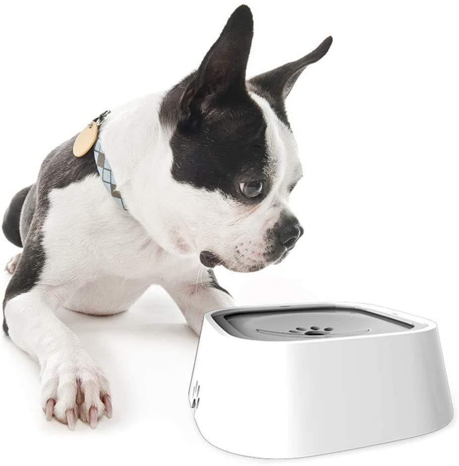 Spill-Proof Pet Travel Water Bowl - Limited Stock! Aussie Vital Supplies