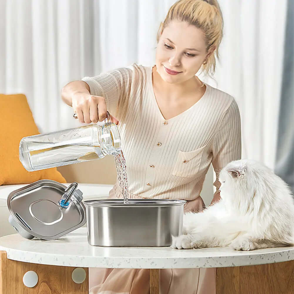 Pet owner setting up the stainless steel water fountain for their cat at home.