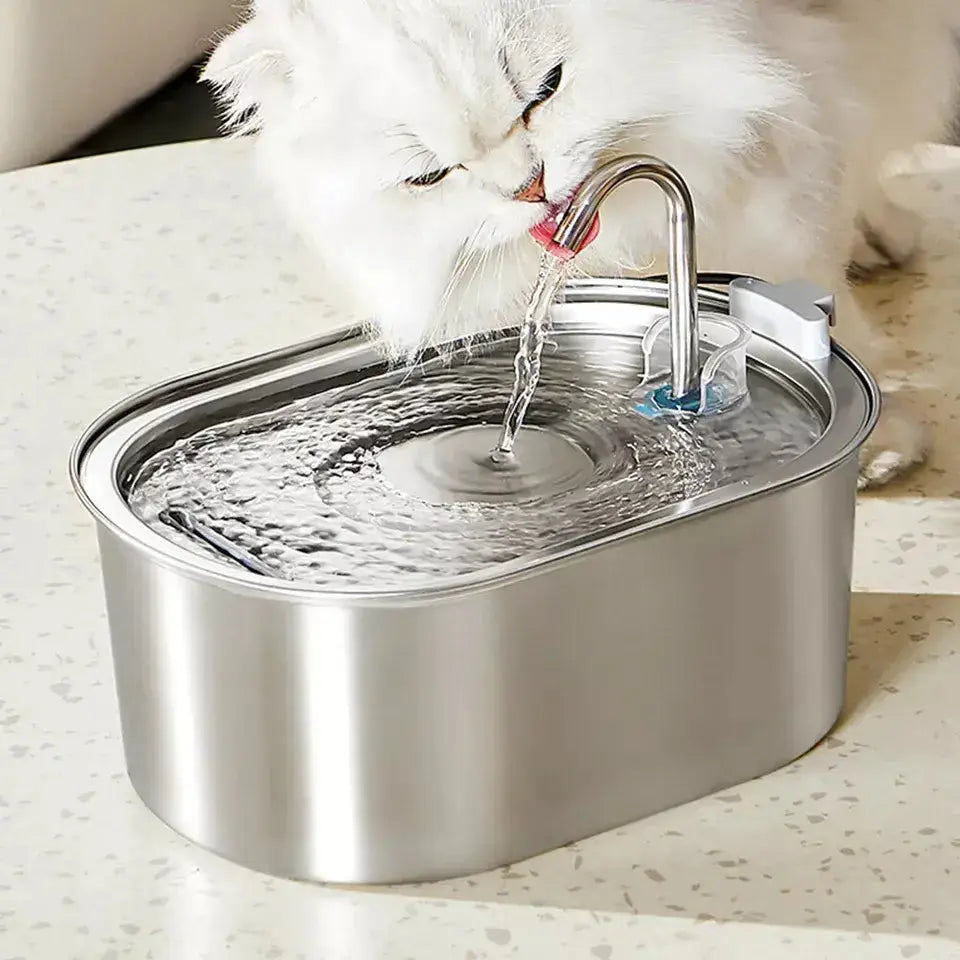 Cat drinking from the flowing stream of the pet water fountain, promoting hydration.