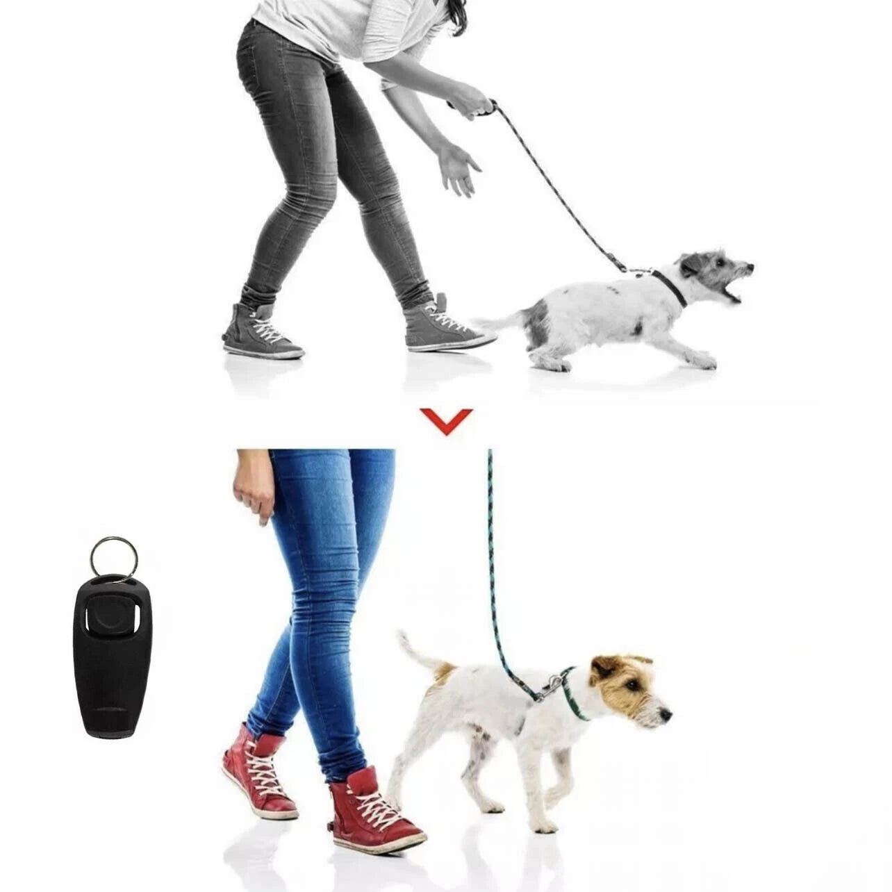 Dog Whistle with Clicker – 2-in-1 Trainer
