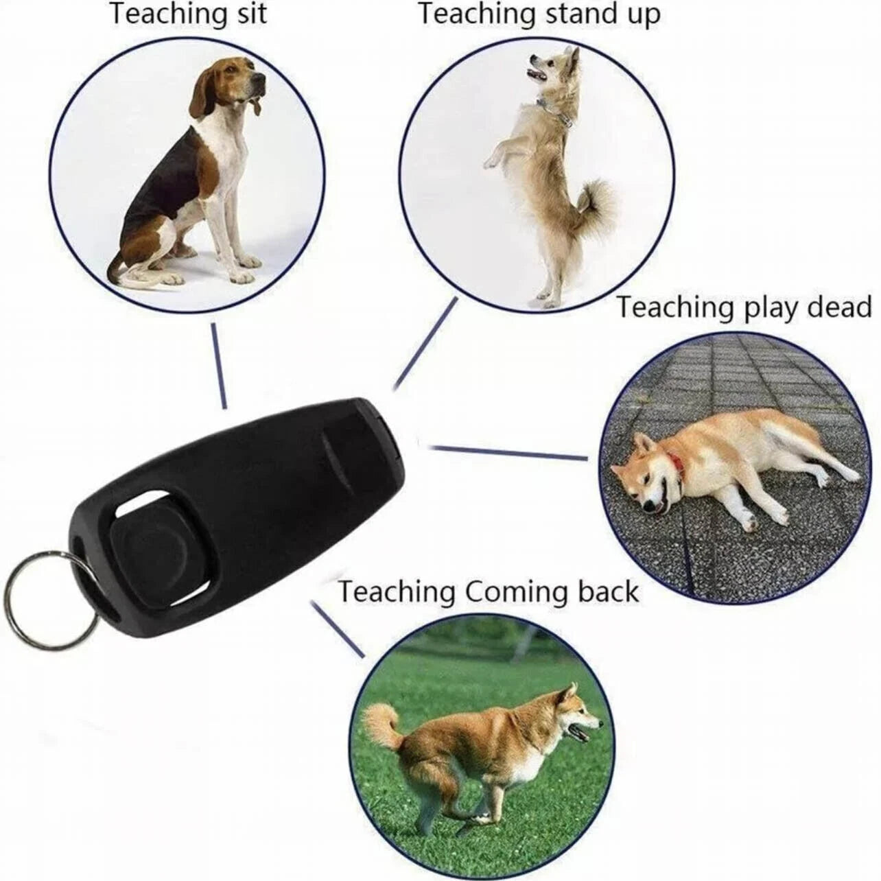Dog Whistle with Clicker – 2-in-1 Trainer
