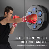 Light Up Boxing Pad