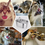 Pets Water Fountain / Pets Drinking Dispenser