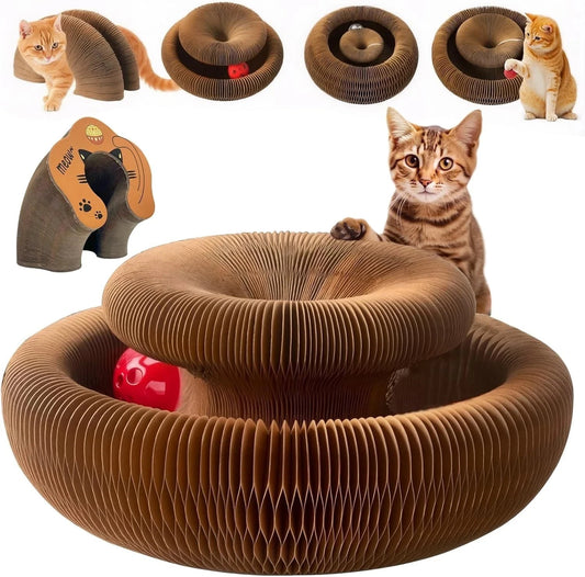 Interactive Cat Scratcher & Ball Track Toy | Indoor Cat Enrichment Play Centre