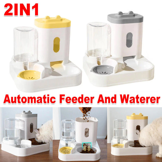 2-in-1 Dog & Cat Feeder Station