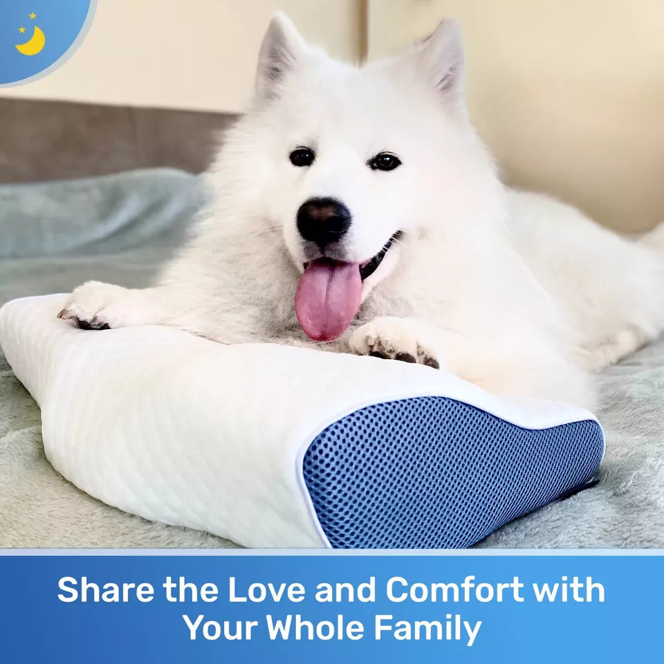 Anti-Snore Memory Foam Contour Pillow – Neck & Shoulder Support Aussie Vital Supplies