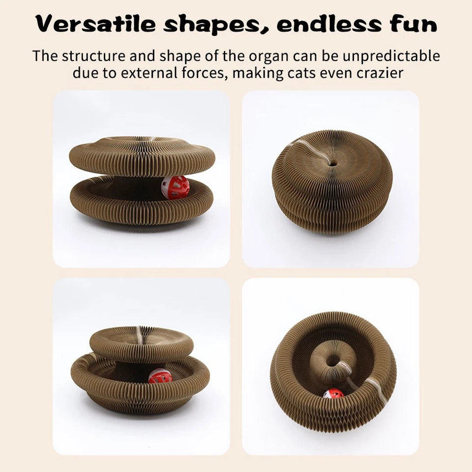 Interactive Cat Scratcher & Ball Track Toy | Indoor Cat Enrichment Play Centre